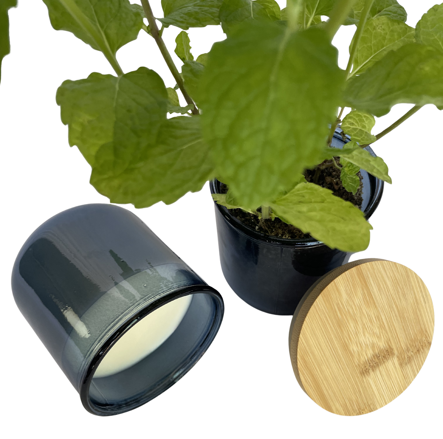Menta Wickless Candle